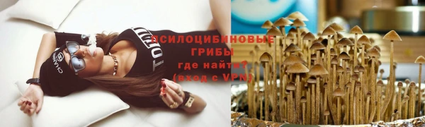 амф Алзамай