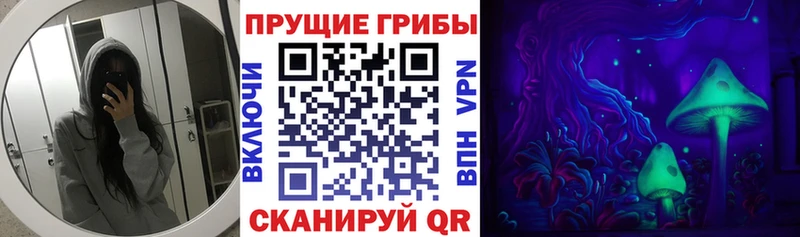 Псилоцибиновые грибы Magic Shrooms  Болгар 
